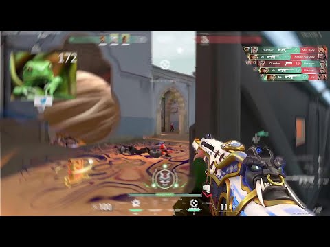 This Is Why Skye Is The Best Agent...