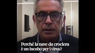 Hantavirus, il virologo Pregliasco: «Ecco quanto dobbiamo preoccuparci (e qual è la cosa importan...
