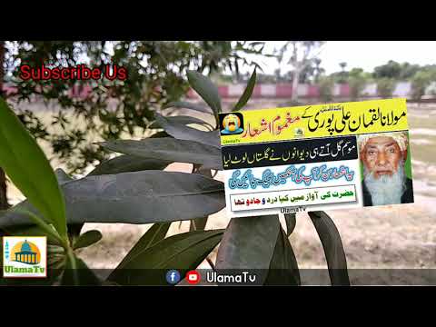 Luqman Ali Puri ki Poetry in my voice | Molana Luqman Ali Puri ka Ashaar 😭