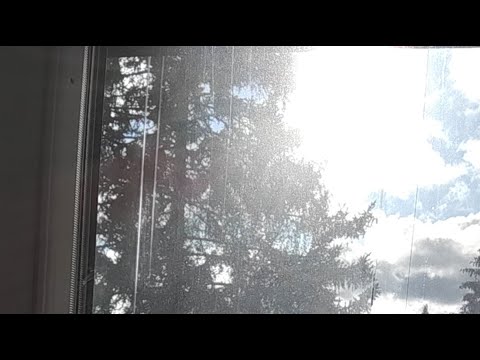 niilo22 tiistai aamuna livee