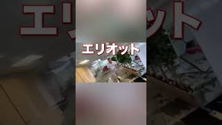 Ben Phillips - 仕事の時間に寝ている弟の口にレモンを絞ってみた！【日本語字幕付き】