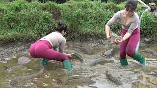 Fishing Videos | Wild Fishing Tips | Skills Catch Big Fish | Unique Fishing Catching A Lots Of Fish