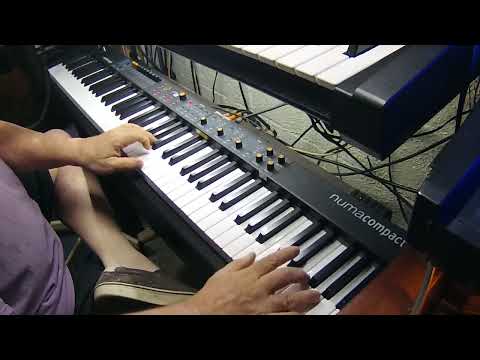 Обзор Studiologic Numa Compact 2x