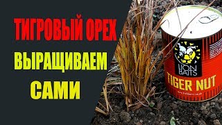 Ссылка