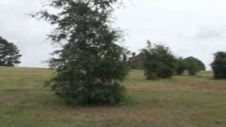 Georgia Mansion Auction 60  Acres