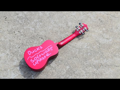 Software Update - Ducks (Offical Music Video)