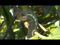 Nosy Be Madagascar Wmv