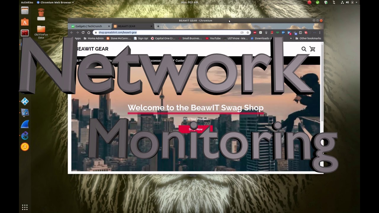 Network Monitoring Install NTOPNG for live traffic analysis