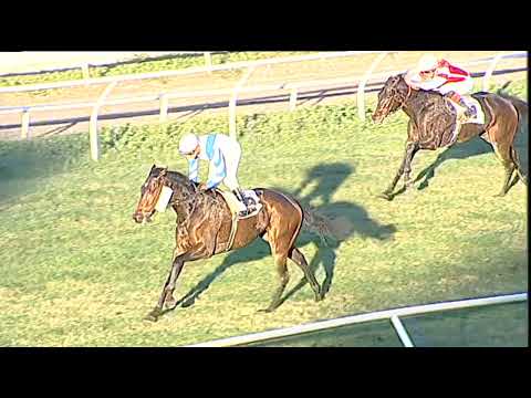 Napoli Galoppo 18/12/2022 - 5ª corsa