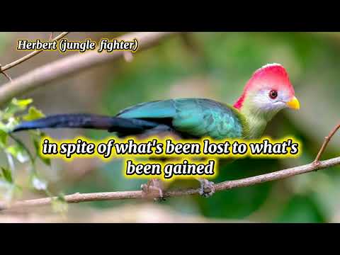 Collin Raye (Love Remains)  Lyrics