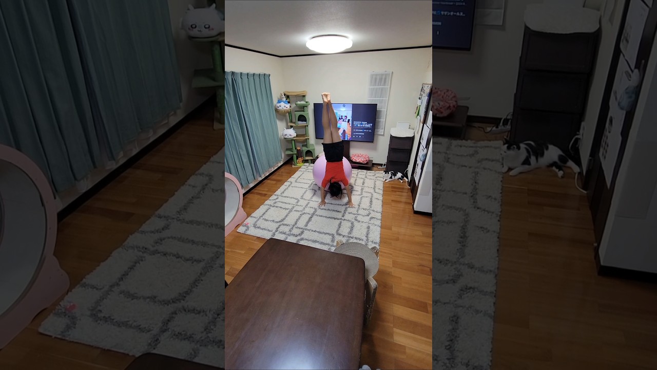 NGシーン Carrying Happiness🎵 Mrs. GREEN APPLE🎶 #動じない猫 #信頼関係 アクロバット×バランスボール 頭の中で楽曲を想像&表現🧏‍♀️ #ミセス特集