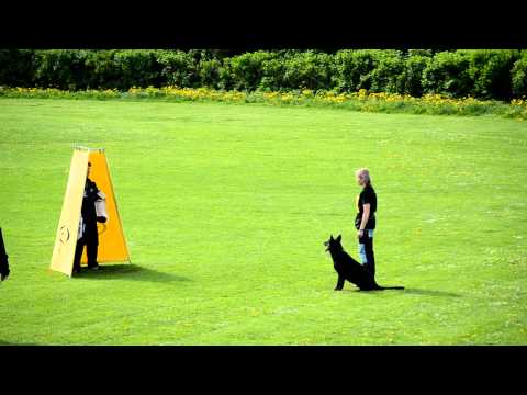 VS Třinec 2012 - Tichá Mirka & Sorbona Favory Cross C: 94