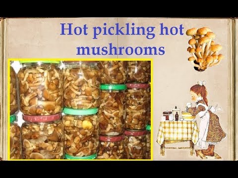 Hot pickling hot mushrooms / Book of recipes / Bon Appetit