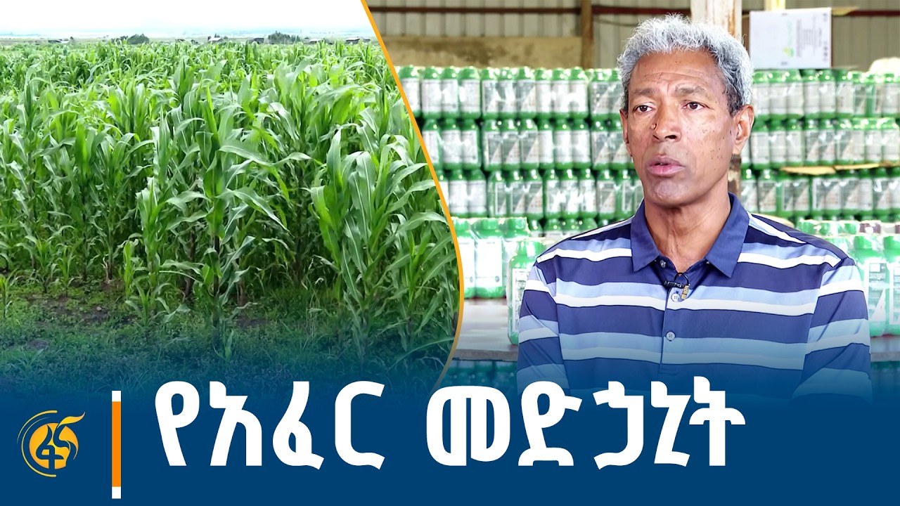 የአፈር መድኃኒት - የአፈር ማዳበሪያ አቅርቦት ጉዳይ | ሜጋ አፍሪካ | Mega Africa|