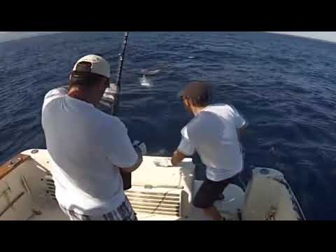 Amazing Fastest Giant Bluefin Tuna Fishing Skill   Most Satisfying Sea Fishing Video