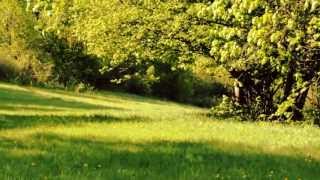 Jon Hopkins - The Wider Sun  [Unofficial Music Video]