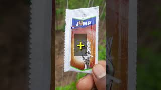 Download lagu Thrips control insecticide 💯% working👍🔥🔥 #cgfarmer #short.1m.mp4 mp3