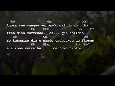 Rosas Vermelhas - Thirson