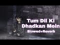 Tum Dil Ki Dhadkan Mein Rehte Ho (Slowed+Reverb) Bollywood Slowed And Reverb lofi songs