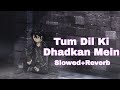 Tum Dil Ki Dhadkan Mein Rehte Ho Slowed Reverb Bollywood Slowed And Reverb Lofi Songs