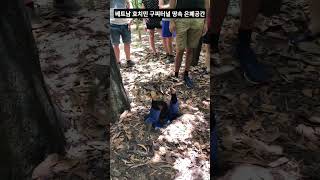 🇻🇳베트남 호치민 구찌터널 땅속 은폐공간🇻🇳Vietnam Ho Chi Minh Gucci Tunnel Und…