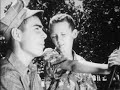 Farmer 1954
