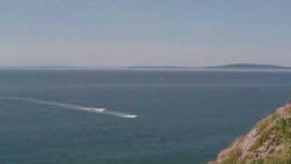 preview picture of video 'Dolphins seen from Ballybunnion cliffs'