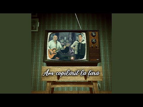 Am copilarit la tara (feat. Axinte)