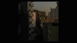 want you so bad - the vaccines (slowed + reverb)