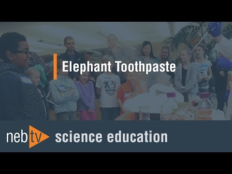 Kid Science - Elephant toothpaste