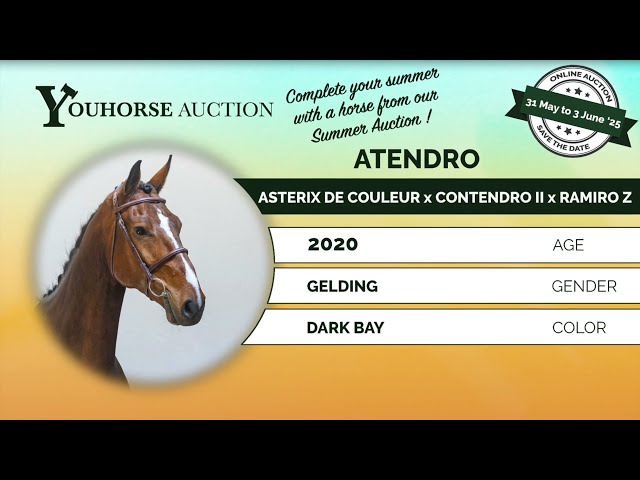 Atendro cross fences