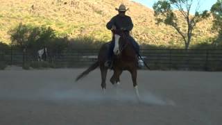 SOLD/Twister Heller..we have more horses just like this for sale!!!