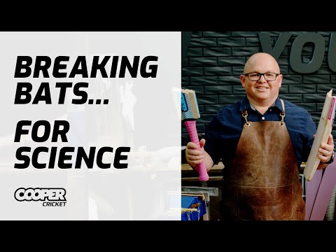 Is your bat dead or can be fixed ? | Repair Bat Killers