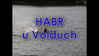 preview picture of video 'Volduchy, koupání v rybníku Habr'
