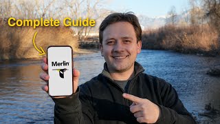 Everything You Need To Know About Merlin Bird ID