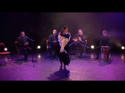 Katia Benito - Streaming Puro Flamenco Collectif - Llamada Alegria