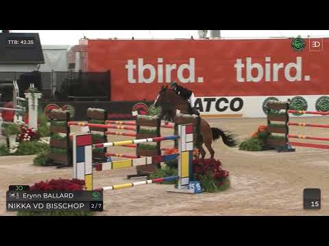 Granddam Nikka vd Bisschop winning 1.60 Major league Showjumping