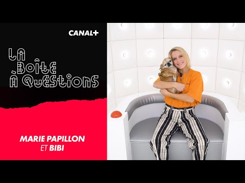 La Boîte à Questions de Marie Papillon et Bibi – 10/09/2020