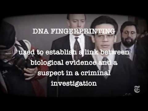 DNA Fingerprinting vs Rapists