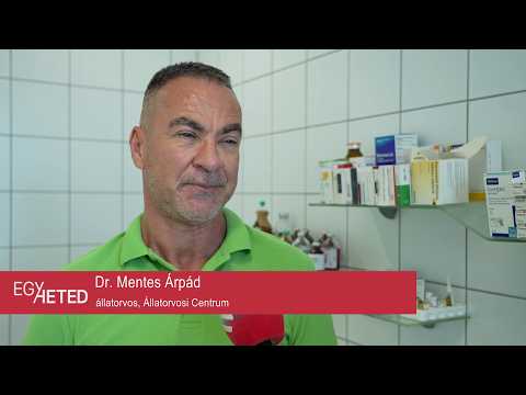 Egyheted – közéleti magazin – 2025.02.26.– Csütörtök