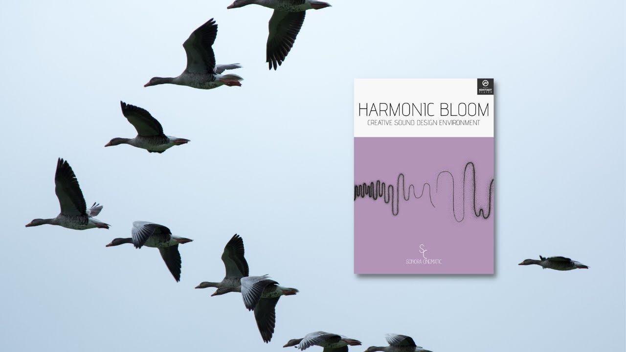 Harmonic Bloom: Import Your Own Sounds and Find Your Voice