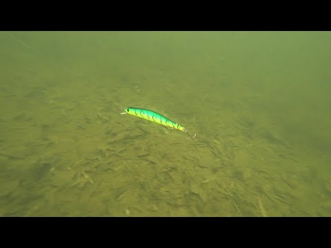 050R