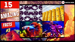 Mind-Blowing facts Compilation #3