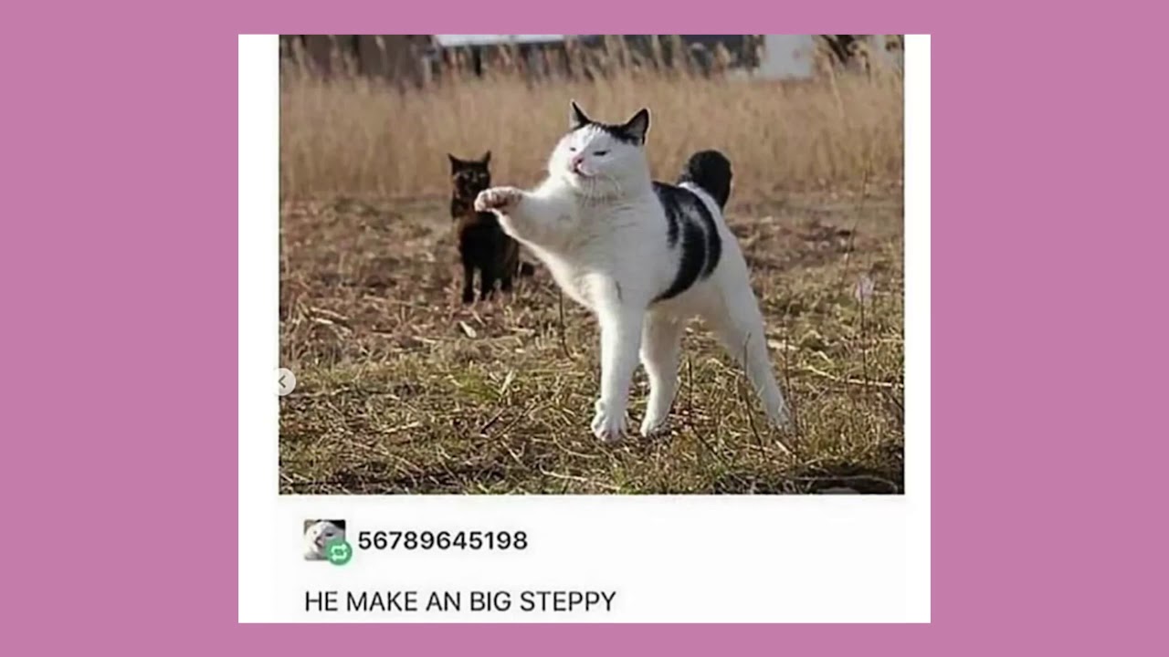 Late Night Tumblr Posts 