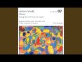 Vivaldi: Gloria in D Major, RV 589 - 6. Domine Deus, Rex Coelestis