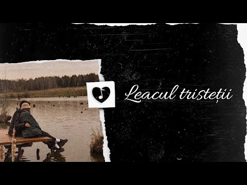 Dibaci - Leacul tristeții | Lyrics Video