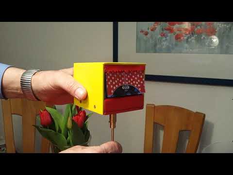 Spieluhr Vögelhäuschen