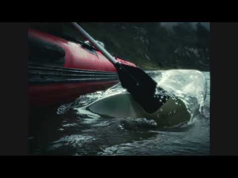 TE NECESITO - Aryc Blaz (Visualizer) EP SI MENOR @Giandabrawn