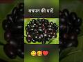 Bachpan Ki Yaadein Childhood Memories Bachpan Yaadein Shorts Video
