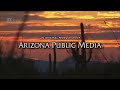 Arizona Public Media American Public Television 2009